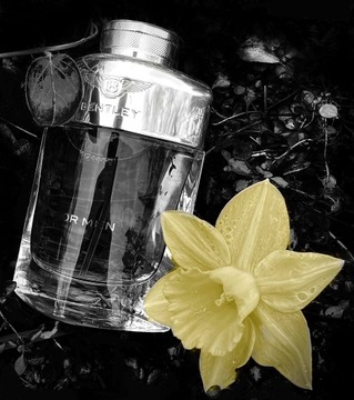 BENTLEY ДЛЯ МУЖЧИН EDT 100 МЛ ОРИГИНАЛ