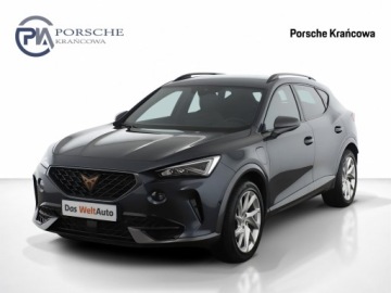 Cupra Formentor 2022 Cupra Formentor | Ambiente | Nawigacja | Kamera Co