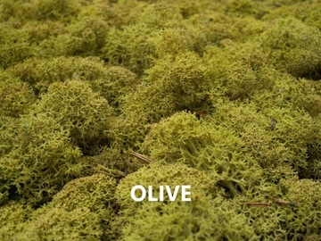 Мох оленьего краба 15 цветов 1кг