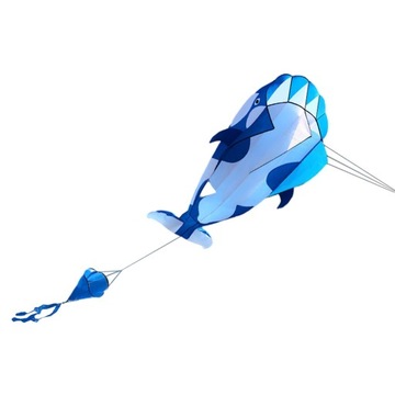3D Flying s Parafoil na wycieczkę na plażę na świeżym powietrzu