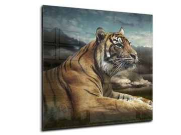 płytki ścienne hartowane kuchnia 50x50 tygrys