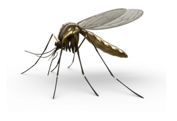 6x спираль противомоскитная Рейд 0,148 кг