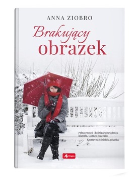 PAKIET 3w1 Świąteczne Powieści Prezent MIKOŁAJKI