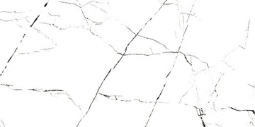 ПЛИТКА ALASKA БЕЛАЯ БЕЛАЯ МРАМОРНАЯ 60x120 ГЛЯНЦЕВАЯ