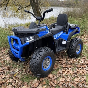 GRIZZLY ВНЕДОРОЖНЫЙ 4X4 ЭЛЕКТРОДВИГАТЕЛЬ АВТО БАГГИ АККУМУЛЯТОРНЫЙ ДИСТАНЦИОННЫЙ RC 2.4G