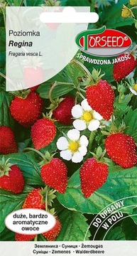 POZIOMKA NASIONA POZIOMKI REGINA PLENNA BEZROZŁOGOWA SOCZYSTE OWOCE 0,2G