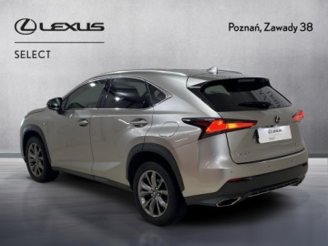 Lexus NX I 2020 Lexus NX 300 GPF F Sport Edition AWD I (2014-2021), zdjęcie 8