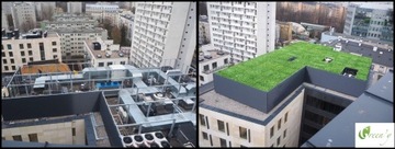 Виноградная лоза искусственная, светло-зеленая, 1,5х3 м, ширма для забора, покрытие для забора