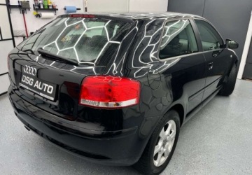 Audi A3 8P 2008 Audi A3 3-drzwiowe 1.6 benzyna oplacony serwisowany bezwypadkowy Polec, zdjęcie 14