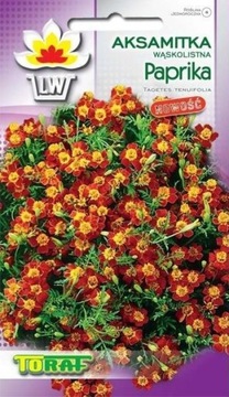 Aksamitka wąskolistna Paprika Nasiona 0,5 g