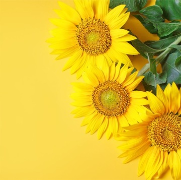 МАГНИТНАЯ КРЫШКА РАДИАТОРА 60х60 ЦВЕТЫ