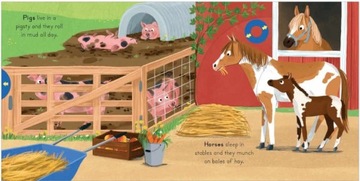 Большой отдых на свежем воздухе для маленьких исследователей: Ферма