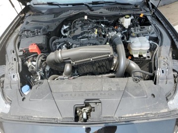 Ford Mustang VI 2024 Ford Mustang EcoBoost 2024 2.3l 2.3 Benzyna 315KM, zdjęcie 6