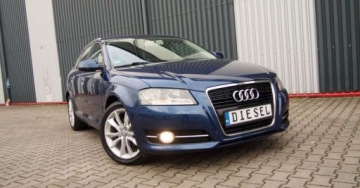 Audi A3 8P Hatchback 3d 2.0 TDI CR 170KM 2012 Audi A3 Sportback Audi A3 Sportback 2.0 TDI DPF Ambition 2.0 Diesel 170KM, zdjęcie 17