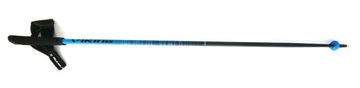 Nordic Walking Viking Pro-Trainer 125 палок