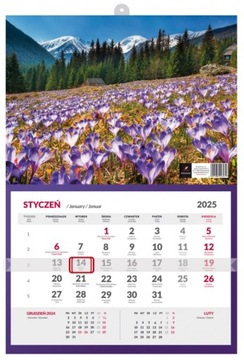 Предварительный просмотр одностенного календаря 2025 на 3 месяца