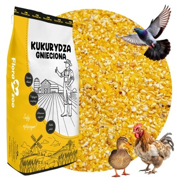 KUKURYDZA GNIECIONA PASZA KARMA DROBNA ZIARNO DLA DROBIU KUR KACZEK GOŁĘBI