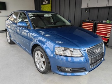 Audi A3 8P Hatchback 3d 1.6 TDI 90KM 2010 Audi 1.6 TDI! Klimatronik, tempomat, niski przebieg!!!, zdjęcie 1