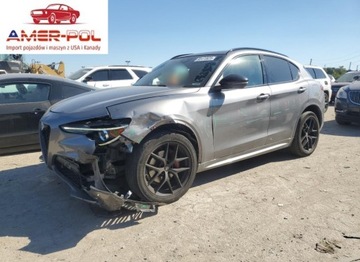 Alfa Romeo Stelvio SUV Facelifting 2.0 Turbo 280KM 2020 Alfa Romeo Stelvio Ti 2020 2.0l 2.0 Benzyna 280KM