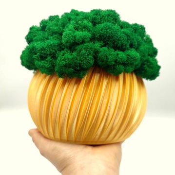 Вазон с мхом хроботек, 23 см, мох хроботек в золотом горшке, 3D печать