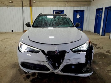 Alfa Romeo Stelvio SUV Facelifting 2.0 Turbo 280KM 2021 Alfa Romeo Stelvio Ti 2021 2.0 Benzyna 280KM, zdjęcie 5