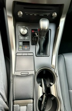 Lexus NX I 2020 Lexus NX 300h,Hybryda,4x4,Europa, zdjęcie 24