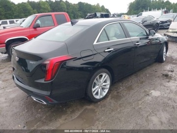 Cadillac 2023 Cadillac Inny CT4 Luxury 2023 2.0l 2.0 Benzyna 237KM, zdjęcie 2