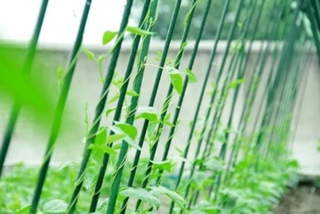 10X ПОДДЕРЖКА ДЛЯ ПОМИДОРОВ И ОГУРЦОВ СТОЙКИ В ТУННЕЛЕ 120 СМ