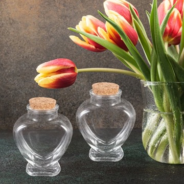 Контейнеры со стеклянными крышками Desiring Clear Empty