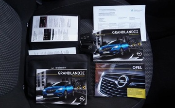 Opel 2017 Opel Grandland X Bezwypadkowy Serwisowany 1-Wlasciciel Grz.Fotele Kierowni, zdjęcie 36