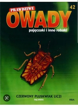 PRAWDZIWE OWADY 42 Czerwony pluskwiak Liczi+ okaz