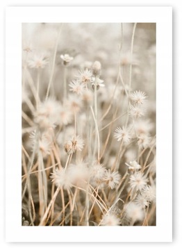 Boho trawy beż plakat 21x30 cm wydruk #20D