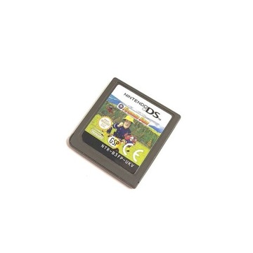 Игра Пожарный Сэм для Nintendo DS