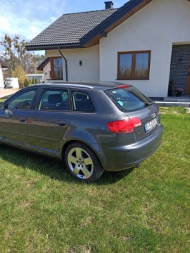 Audi A3 8P Hatchback 3d 1.6 102KM 2006 Audi a3 8p 1.6 benzyna, zdjęcie 2