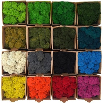 Олений мох 500г Декоративная зеленая трава ФИНСКИЙ ПРЕМИУМ