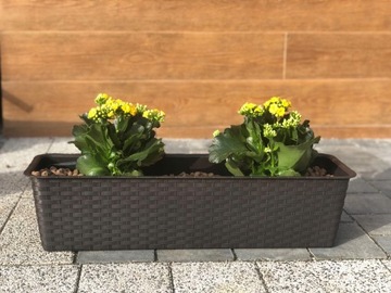 Цветочный горшок, балконный ящик, 50 см + ПОДСТАВКА