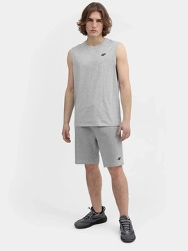 МУЖСКАЯ МАЙКА 4F 4FSS23TSLEM016 XL