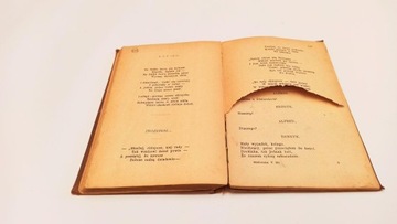 Казимеж Глинский - ПОЭЗИ 1902 г.