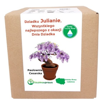 Zestaw BONSAI paulownia Dzień Dziadka Julian
