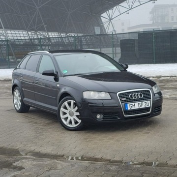 Audi A3 8P Hatchback 3d 2.0 TDI PD 170KM 2006 Audi A3 Sportback 2.0 TDI DPF S line Sportpaket, zdjęcie 6
