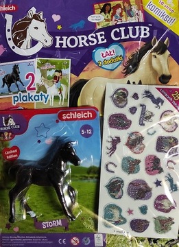 HORSE CLUB 1/2024 Konik STORM + TATUAŻE