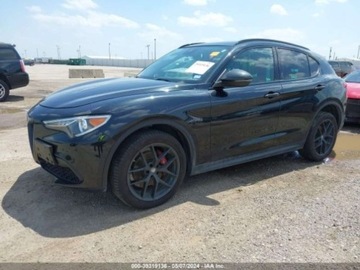 Alfa Romeo Stelvio SUV 2.0 Turbo 280KM 2019 Alfa Romeo Stelvio 2019 Alfa Romeo Stelvio Ti AWD 2.0 Benzyna 280KM, zdjęcie 2