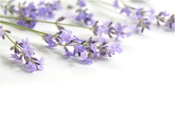 Ecome Органический гидролат лаванды, 200 мл, бульон