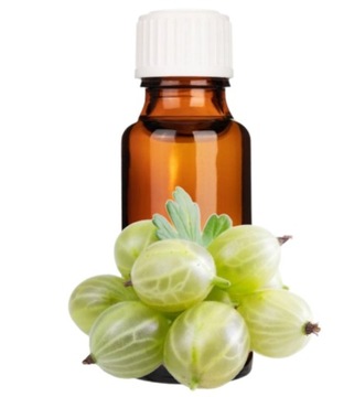 AGREST Aromat spożywczy AGRESTOWY 10 ml