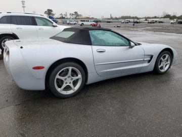 Chevrolet Corvette C5 Cabrio 5.7 i V8 16V 344KM 2000 Chevrolet Corvette 2000, 5.7L, od ubezpieczalni 5.7 Benzyna 345KM, zdjęcie 4