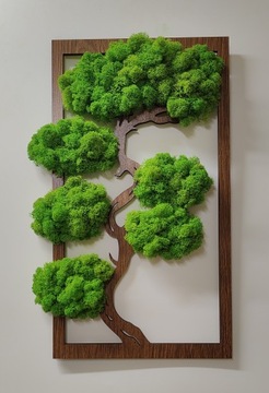 Дерево бонсай со мхом, красивый прямоугольный мох, 70х41.