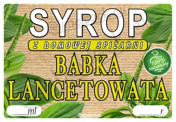 Etykieta na SYROP - BABKA LANCETOWATA 20 szt.