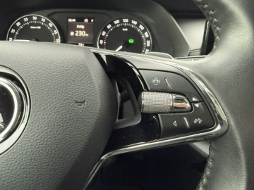 Skoda Octavia IV Liftback 2.0 TDI 115KM 2021 Škoda Octavia Skoda Octavia 2.0TDi 150KM 2021, zdjęcie 18