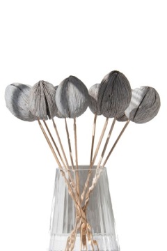 МИНТОЛА НА ПАЛОЧКЕ сушеные растения для засушенной вазы