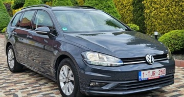 Volkswagen Golf VIII Hatchback 2.0 TDI SCR 115KM 2019 Volkswagen Golf Niski przebieg 88 tys,1.6 Diesel, Faktura,Polecam 2.0, zdjęcie 17